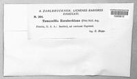 Image Associated With the Occurence